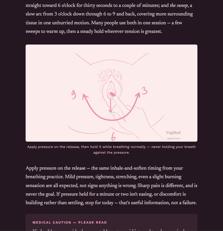A page from Treating Vaginismus