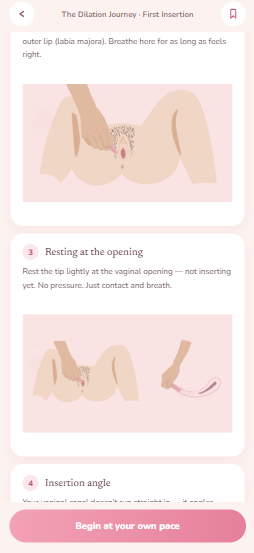 Soft, accurate anatomy illustrations within a practice step
