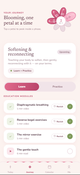 A phase with a Learn and Practice toggle and education modules