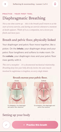An illustrated lesson explaining how breathing moves the pelvic floor